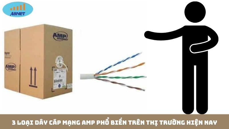 3 loại dây cáp mạng amp phổ biến trên thị trường hiện nay